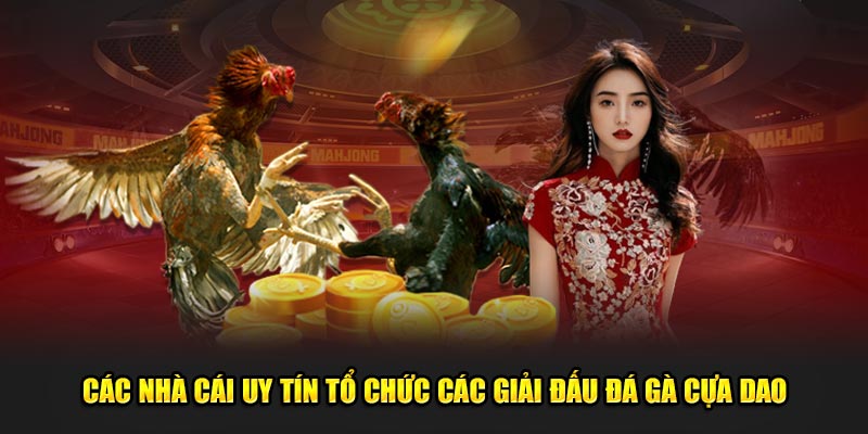 các nhà cái uy tín tổ chức các giải đấu đá gà cựa dao