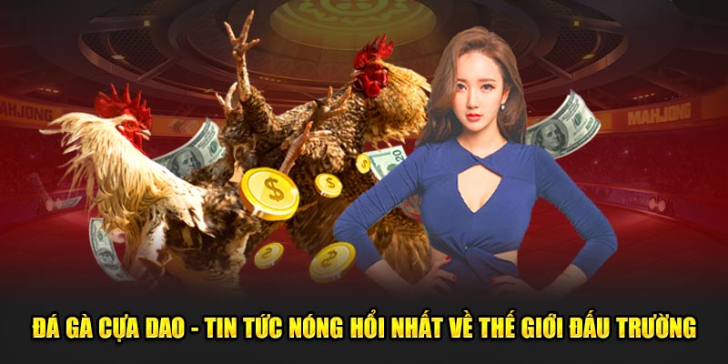 đá gà cựa dao tin tức nóng hổi nhất về thế giới đấu trường