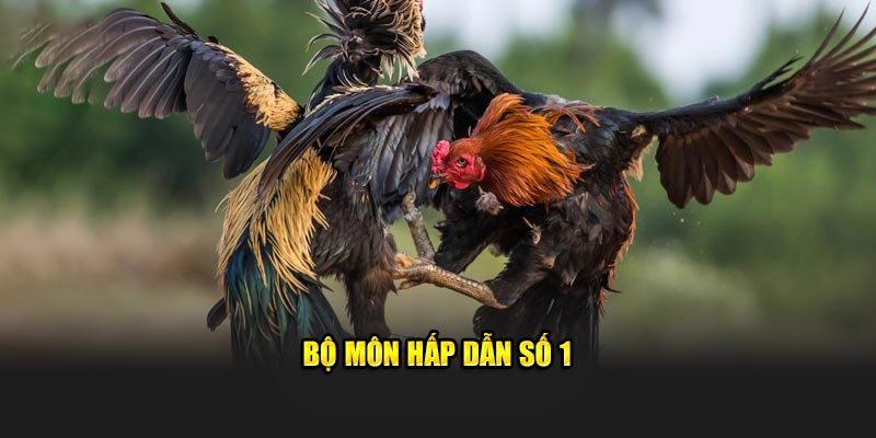 bộ môn hấp dẫn số 1 