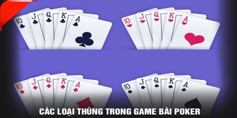 thùng phá sảnh đặc điểm chi tiết